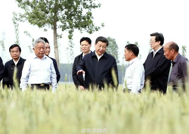 習近平走進糧田,看麥穗灌漿,問農(nóng)田建設。