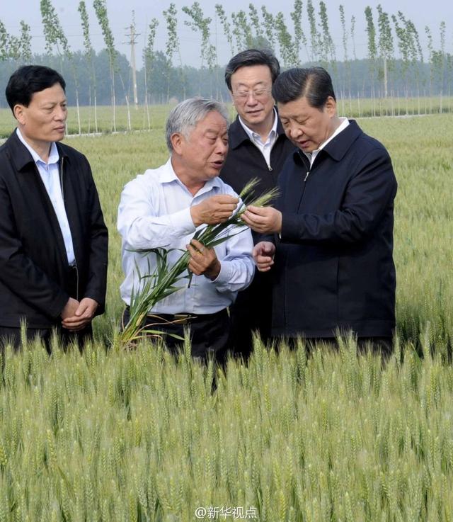 習近平走進糧田,看麥穗灌漿,問農(nóng)田建設。