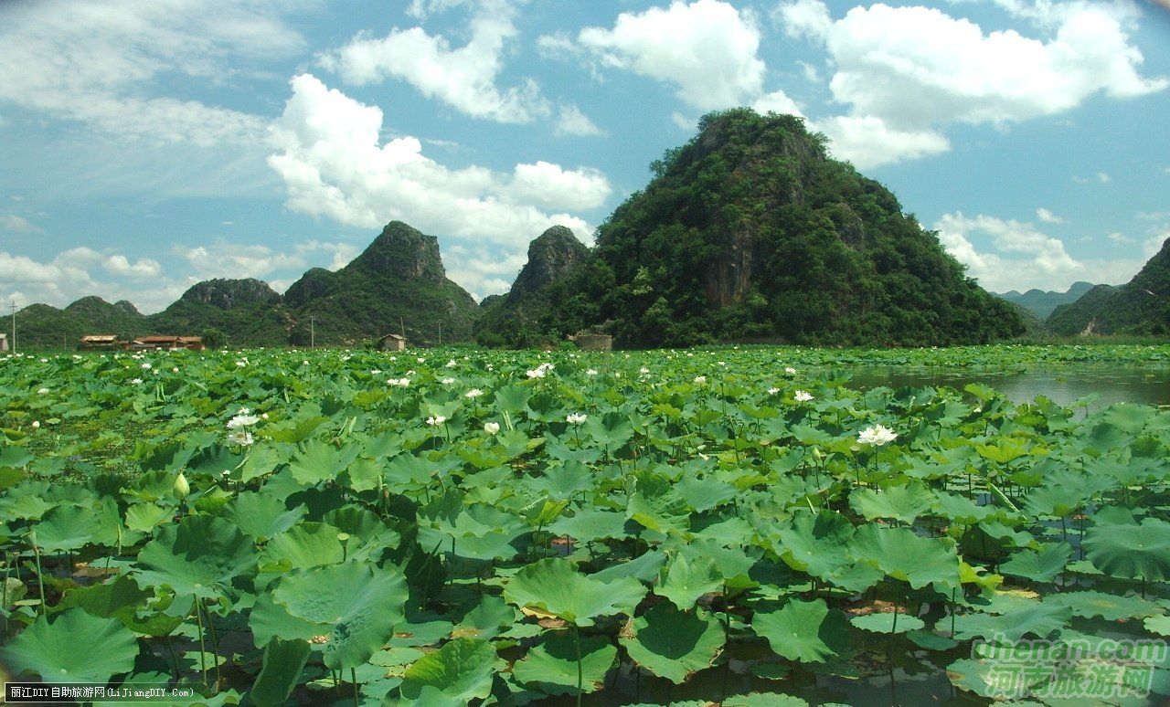 爸爸去哪兒？親密接觸荷花仙子