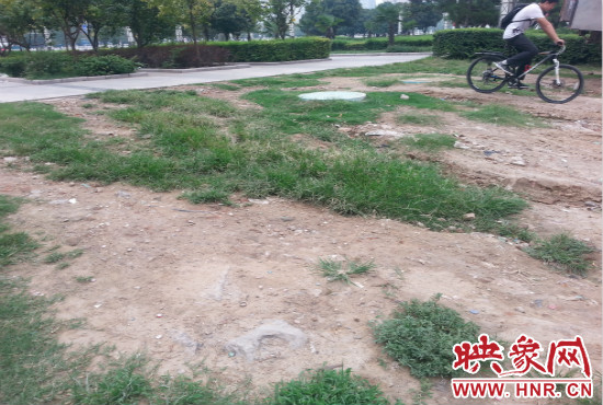 公園內(nèi)大片草坪遭到破壞。