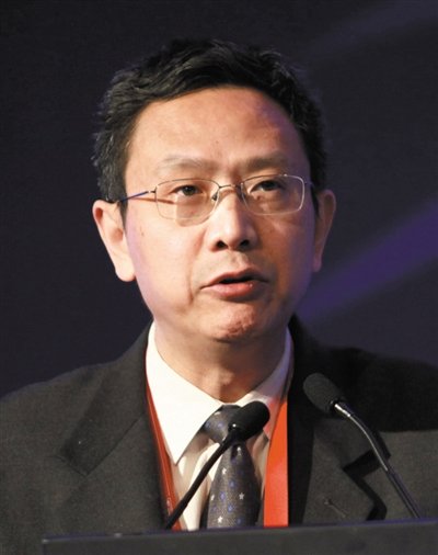 財(cái)政部財(cái)政科學(xué)研究所所長賈康。圖/CFP