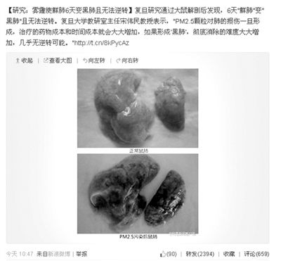 昨天，一則“霧霾使鮮肺6天變黑肺”的新聞在網(wǎng)上引發(fā)熱議。網(wǎng)絡(luò)截圖