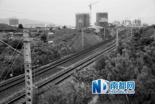 　東源縣法院院長(zhǎng)被火車撞亡事發(fā)地段。