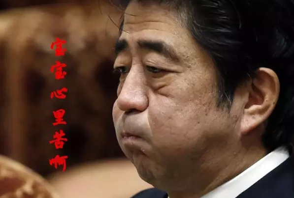 這種看安倍“熱鬧”的事兒，環(huán)環(huán)絕不私藏，一定雨露均沾!