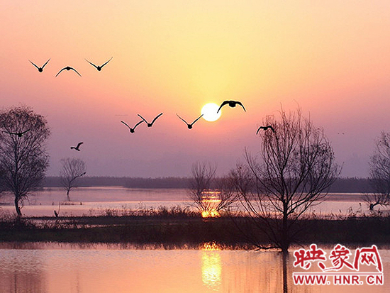 濟源小浪底景區(qū)積極籌備第五屆“觀鳥季”