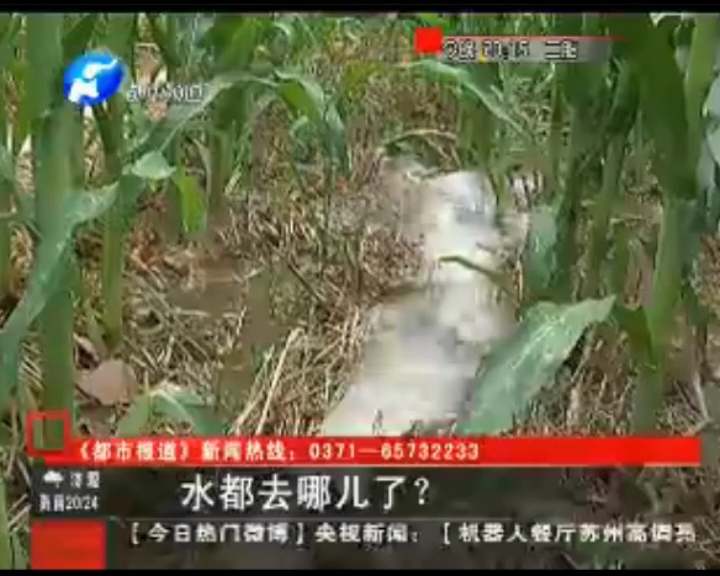水都去哪了？