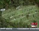 “垃圾場(chǎng)”拍婚紗：玩噱頭還是做環(huán)保？