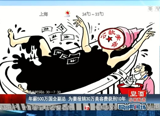 年薪500萬國企副總 為妻報銷30萬美容費(fèi)獲刑10年