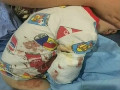 猛獸出沒 注意！2歲男童在動(dòng)物園被白虎咬掉右臂