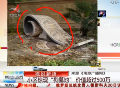 南京某小區(qū)現豪華狗墓地 價值超500萬