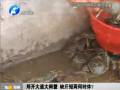 鄭開大道大閘蟹 缺斤短兩何時(shí)休？